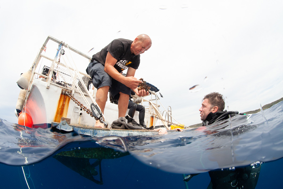 Brodolom kod otočića Stambedra