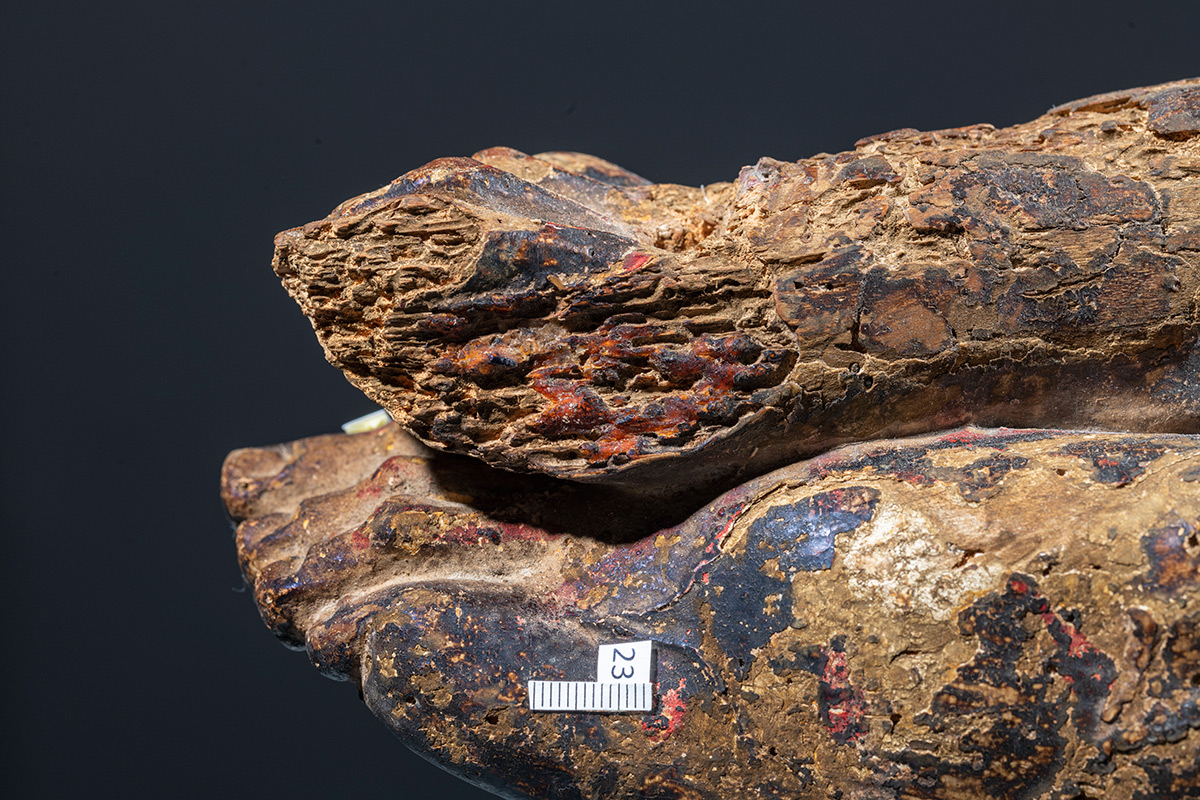 Renesansno raspelo iz Zbirke sakralne umjetnosti Župe Rab